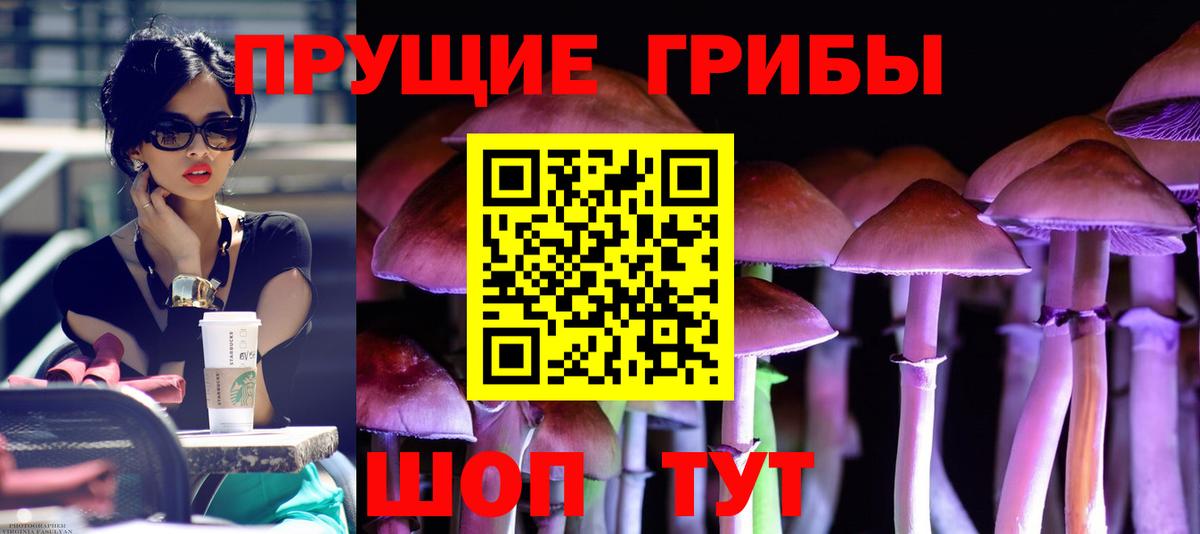 Новошахтинск  Галлюциногенные грибы мицелий  Вход с VPN  Галлюциногенные грибы ЛСД 
